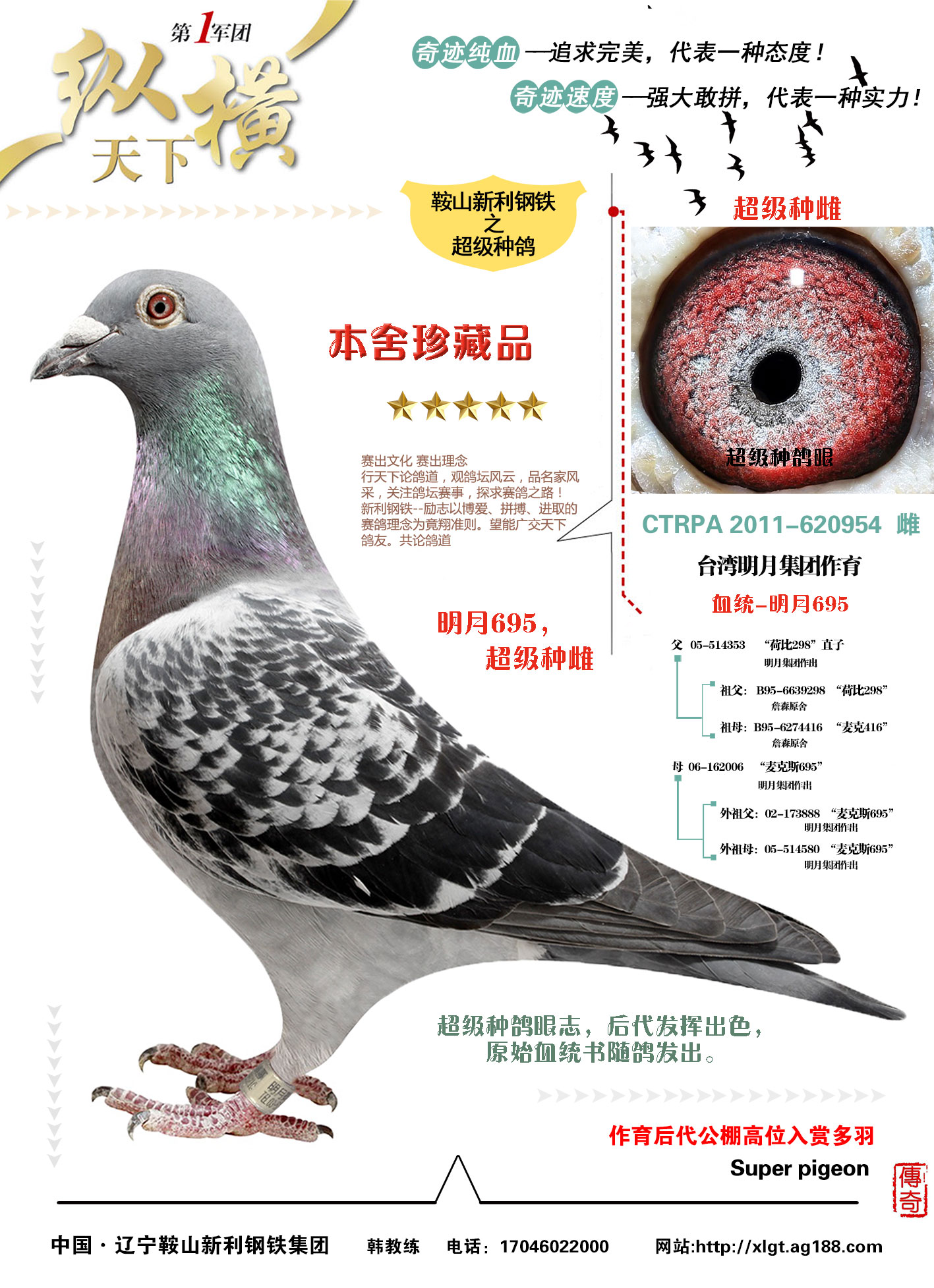 点击查看此商品大图片
