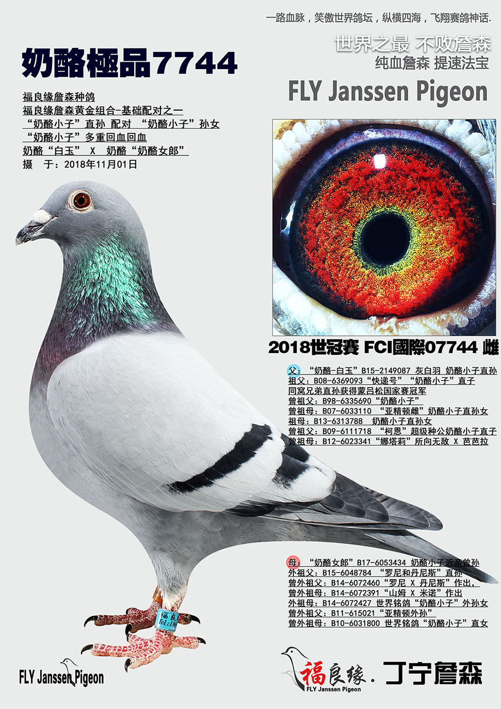 >> 查看拍卖商品