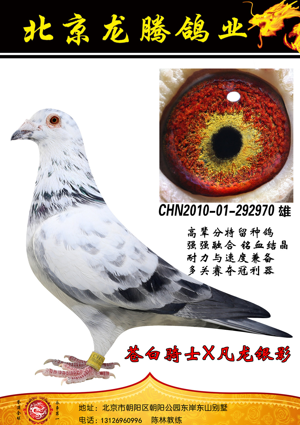 >> 查看拍卖商品