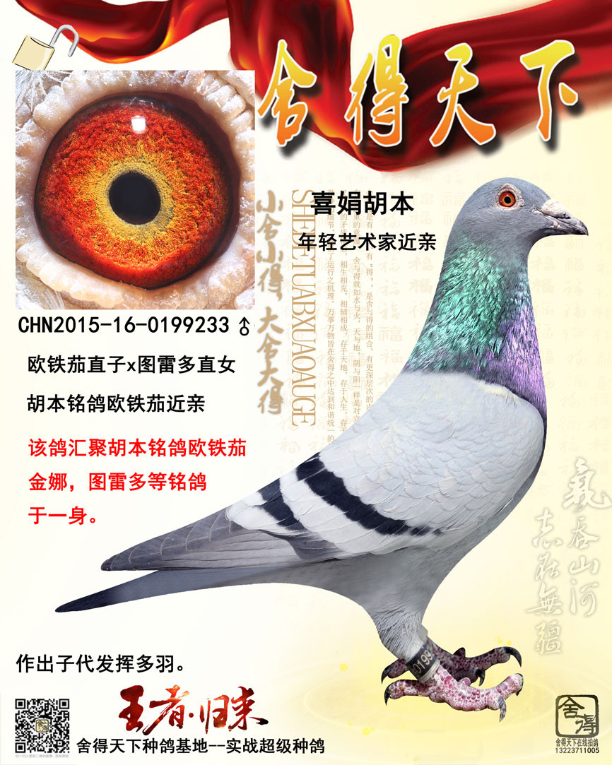 >> 查看拍卖商品