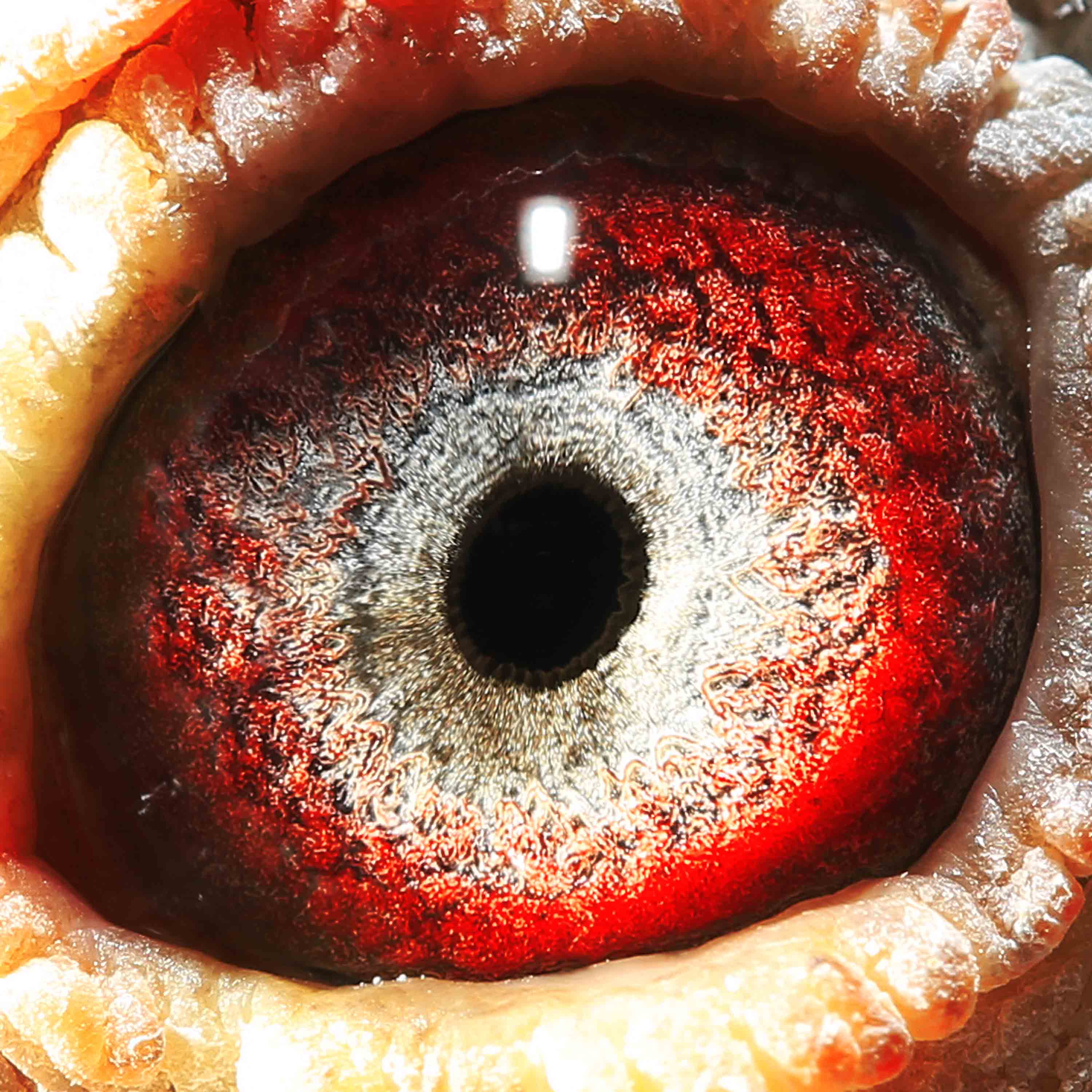 >> 查看拍卖商品