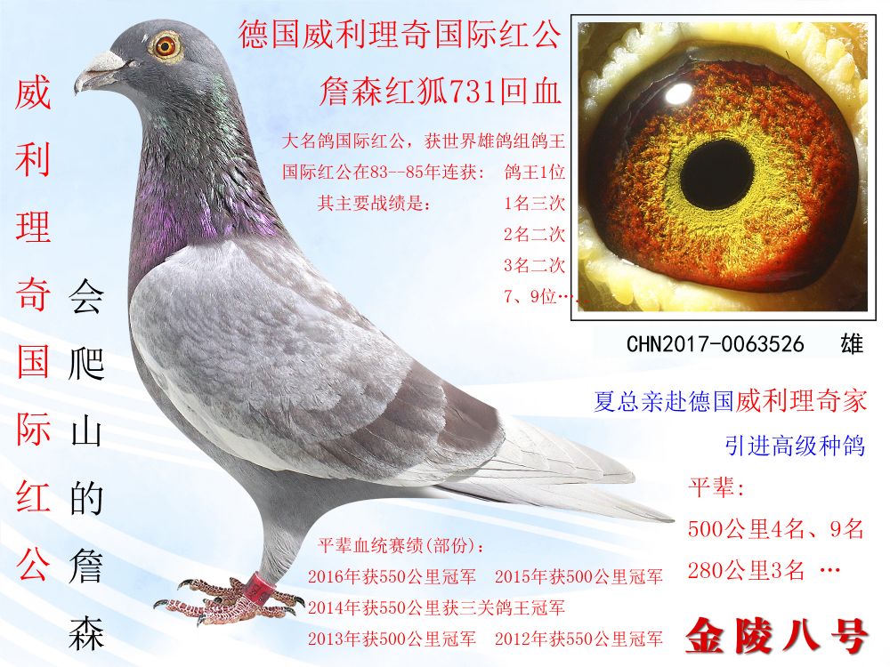 >> 查看拍卖商品