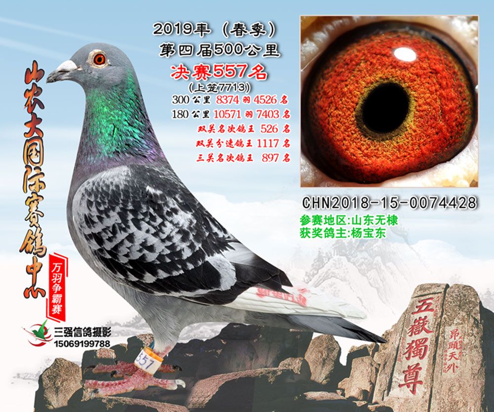 山农大春棚决赛557名