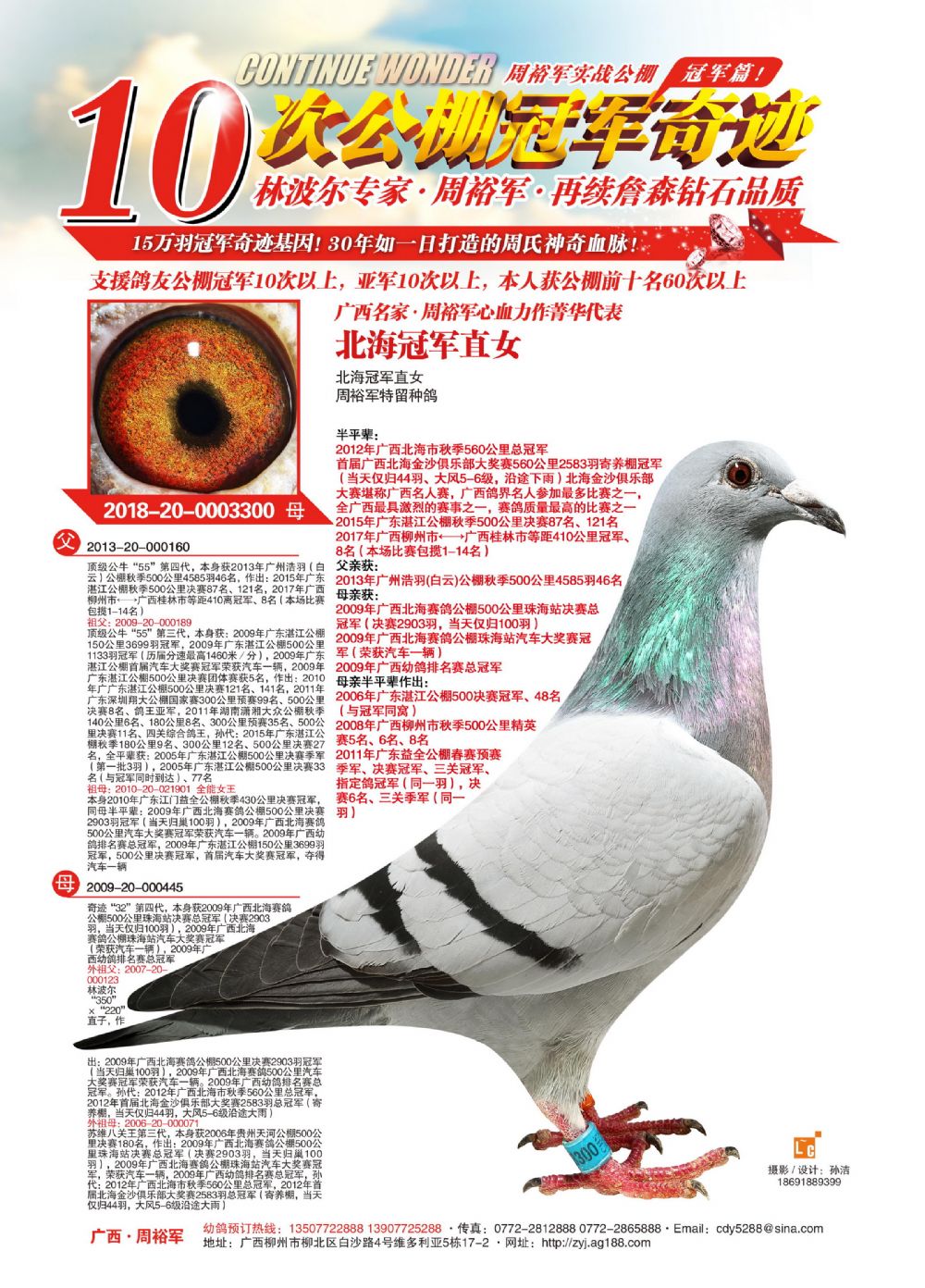 >> 查看拍卖商品