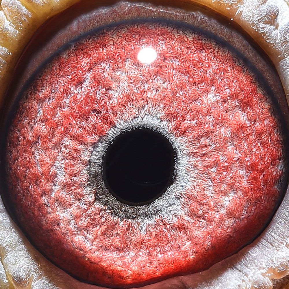 >> 查看拍卖商品