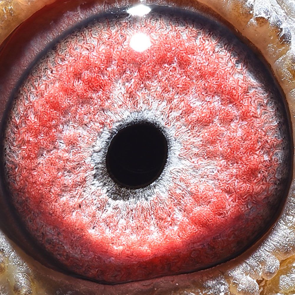 >> 查看拍卖商品