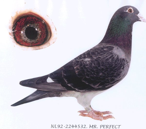 >> 查看拍卖商品