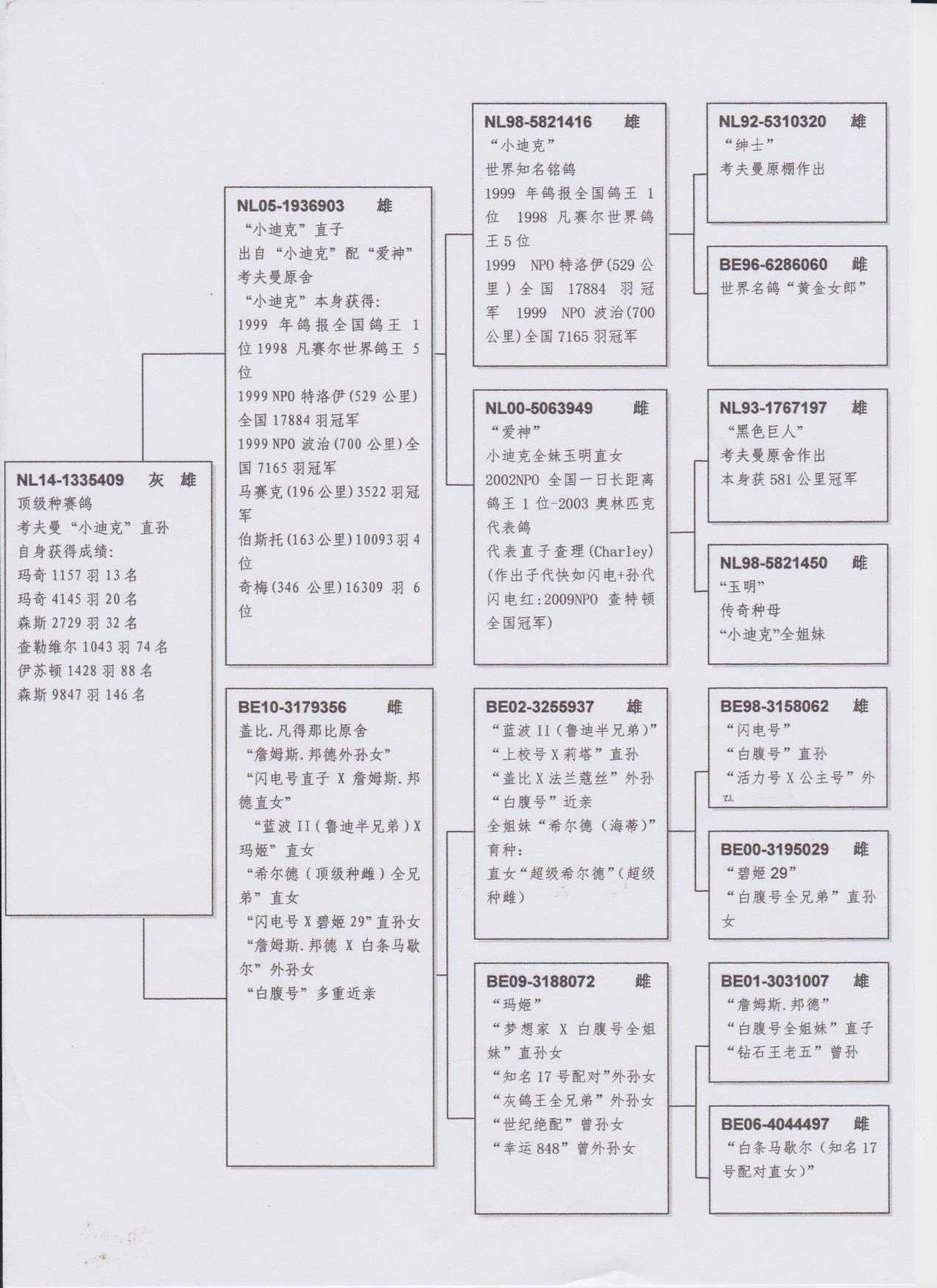 血統書翻譯件