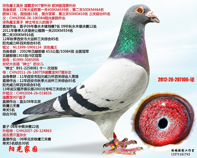 >> 查看拍卖商品