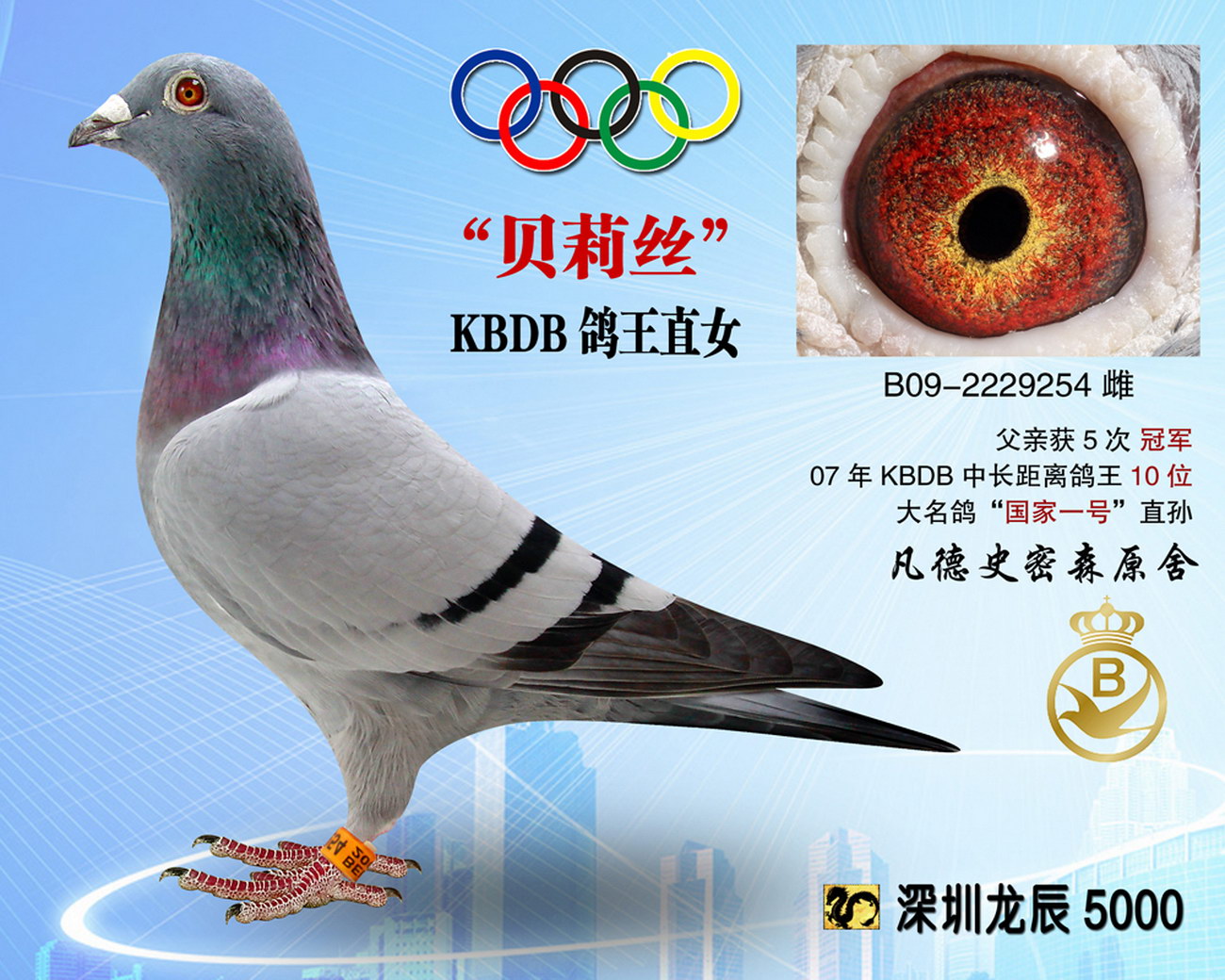 >> 查看拍卖商品 相关图片 商品信息 商品编号: 841944  足环号