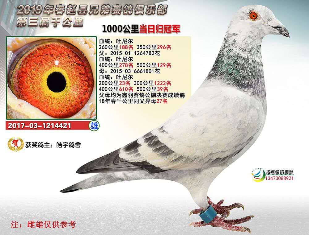 子代千公里当日归冠军