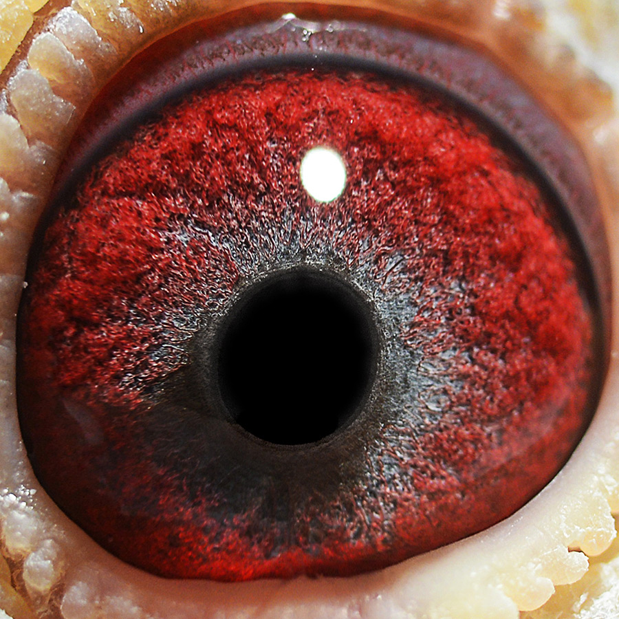 >> 查看拍卖商品