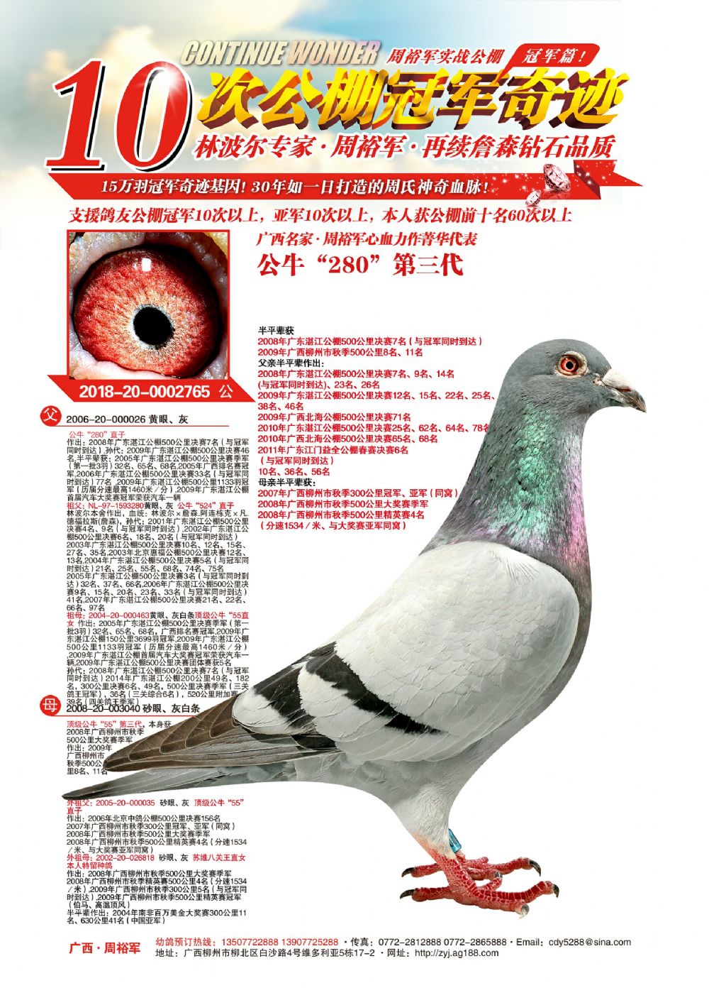 首 页  铭 鸽  新鸽上架  推荐铭鸽  定价鸽  信鸽拍卖 黄金配对