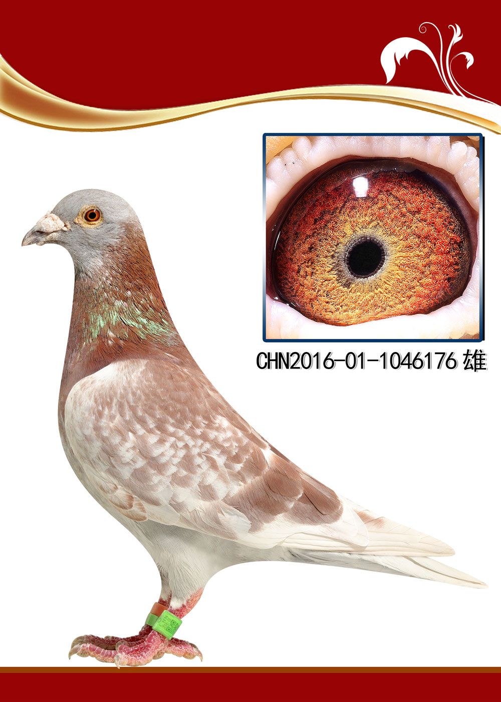 >> 查看拍卖商品