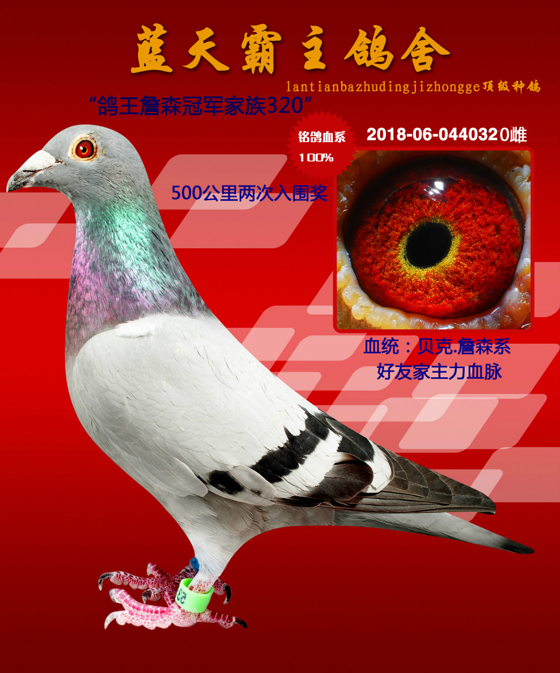 >> 查看拍卖商品