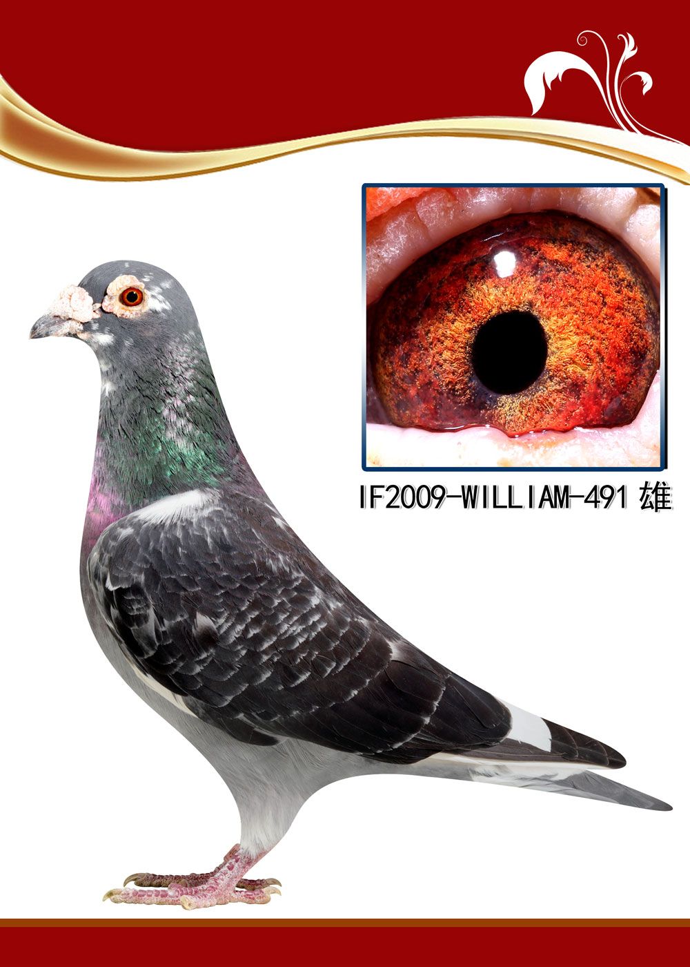 >> 查看拍卖商品