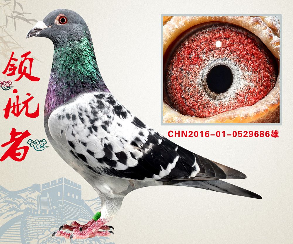 >> 查看拍卖商品