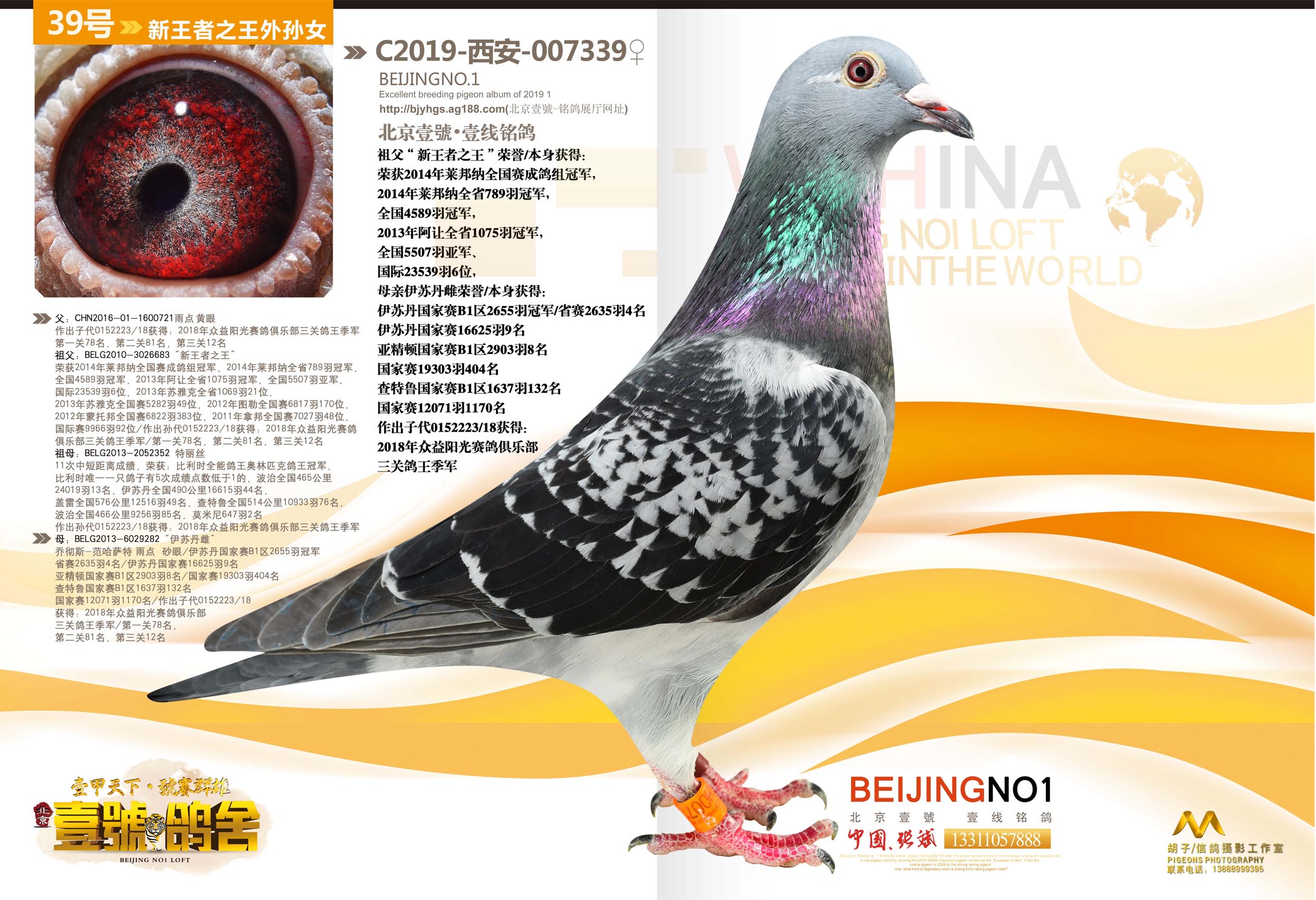 >> 查看拍卖商品