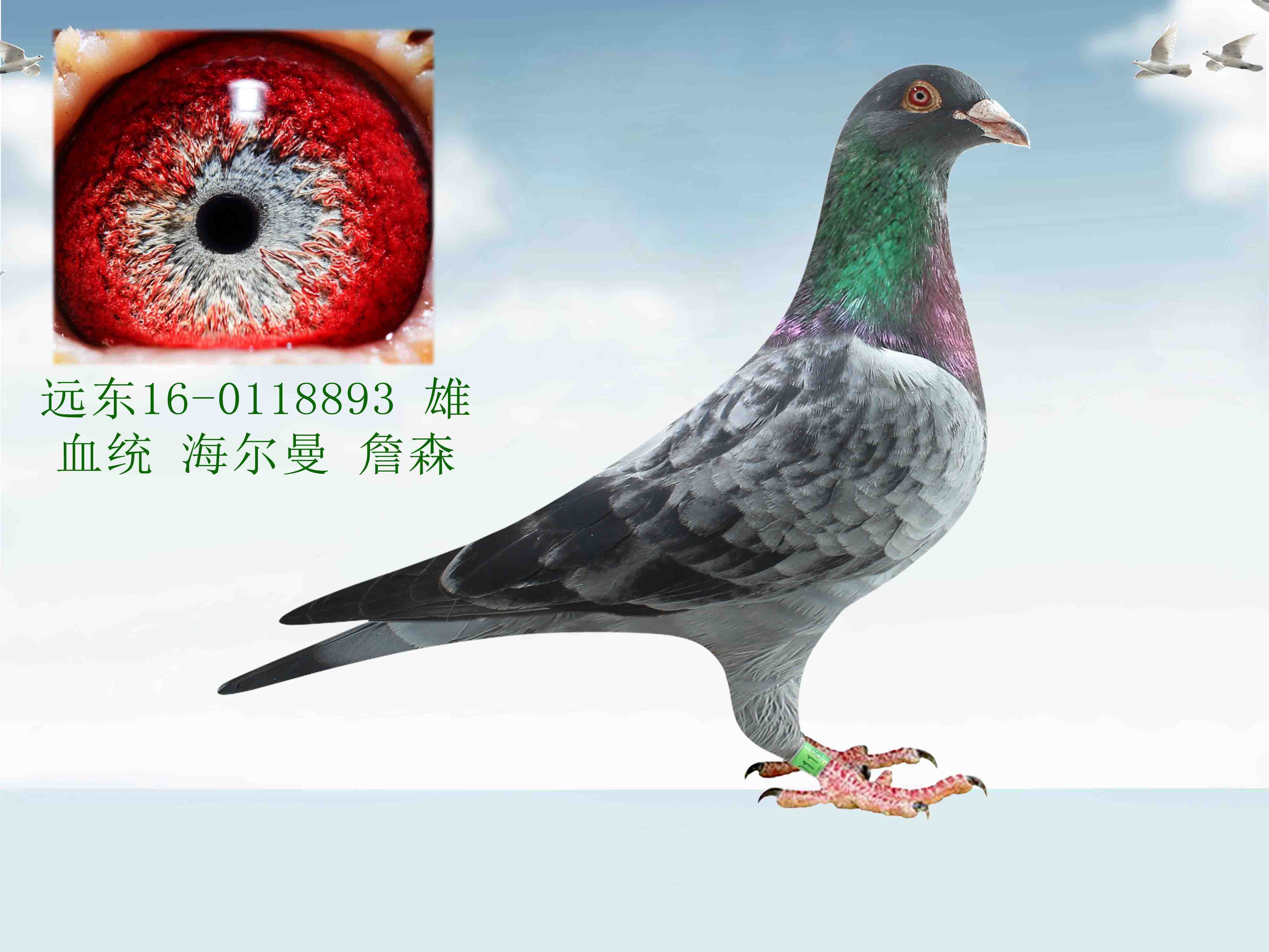 >> 查看拍卖商品