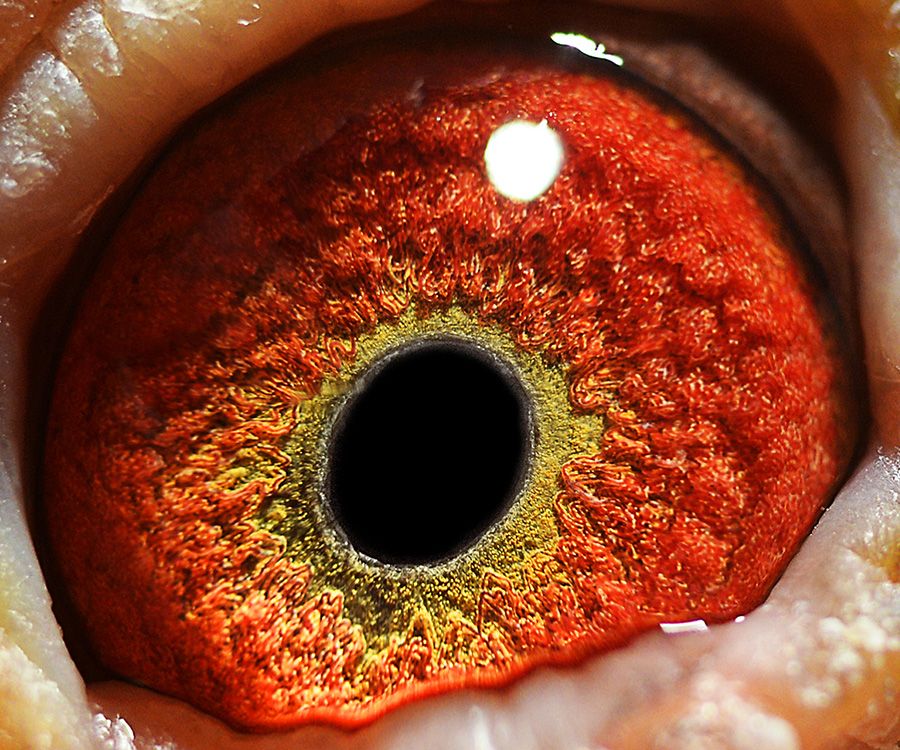 >> 查看拍卖商品