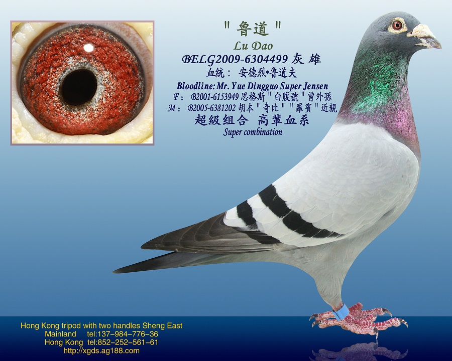 >> 查看拍卖商品