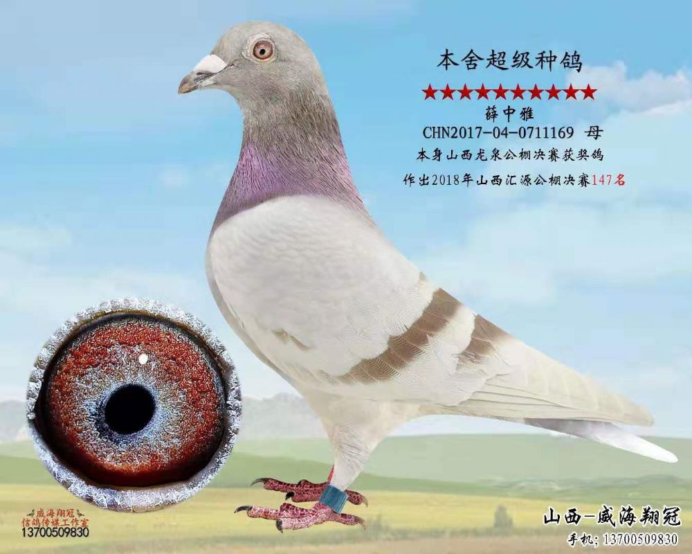 >> 查看拍卖商品