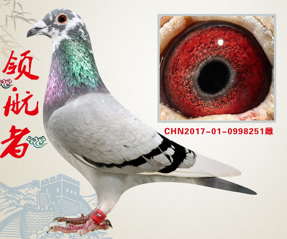 >> 查看拍卖商品