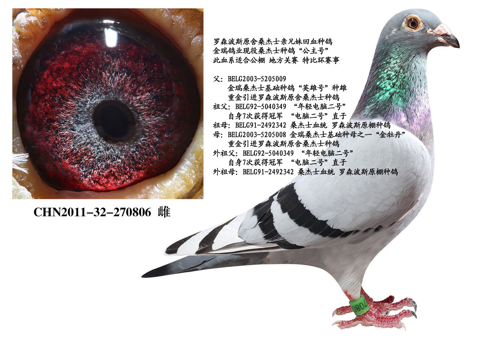 >> 查看拍卖商品