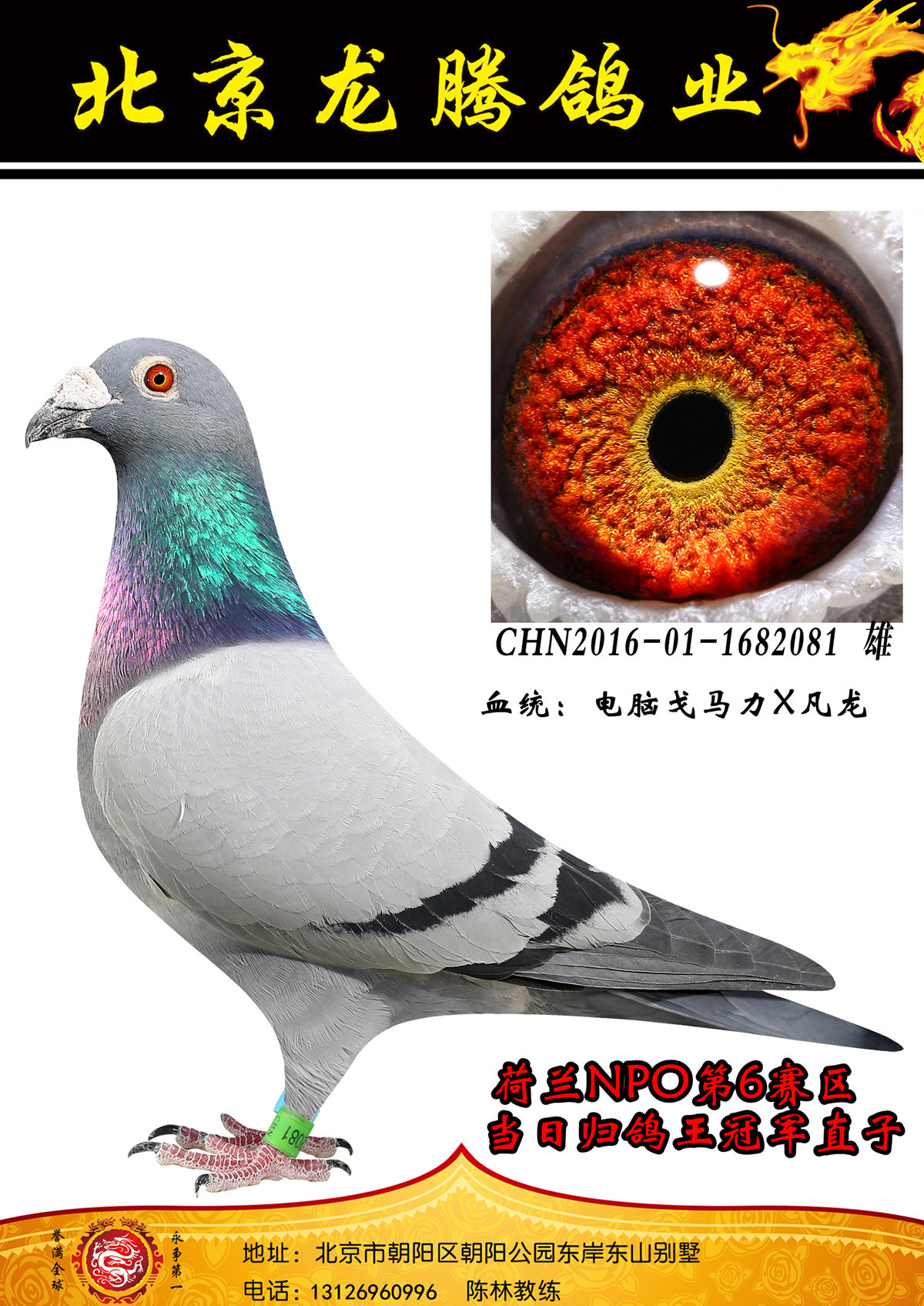 >> 查看拍卖商品