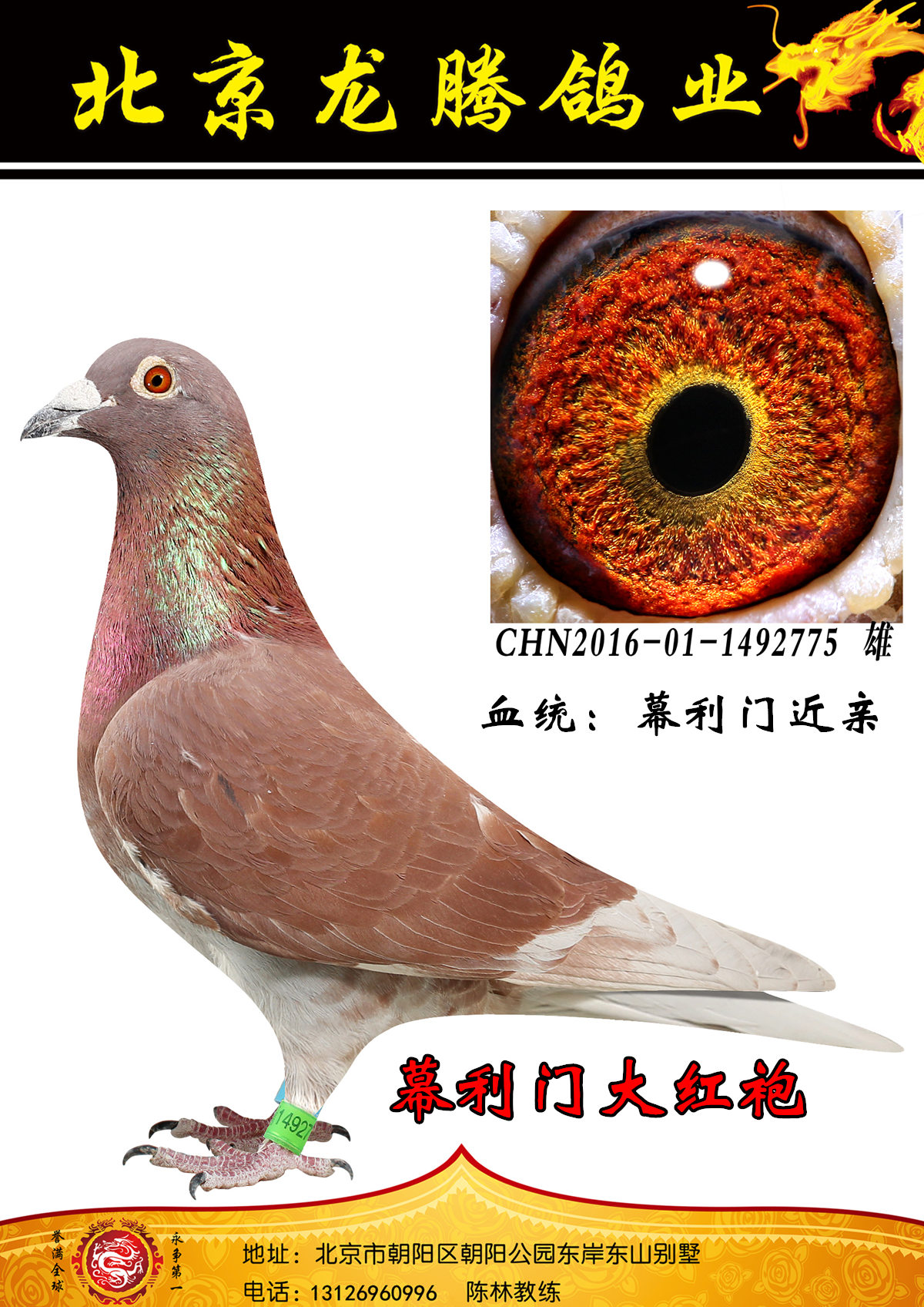 >> 查看拍卖商品