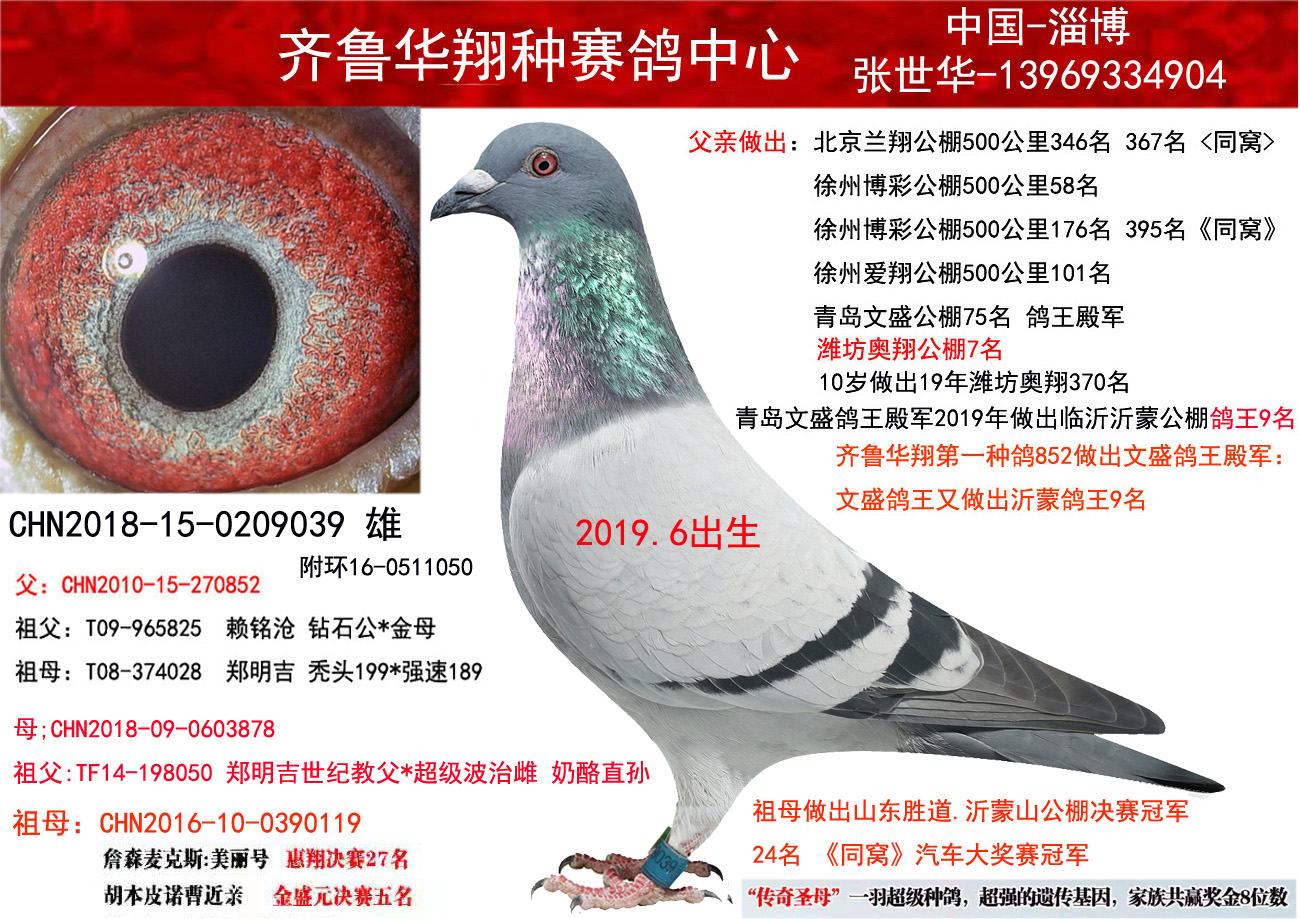 >> 查看拍卖商品