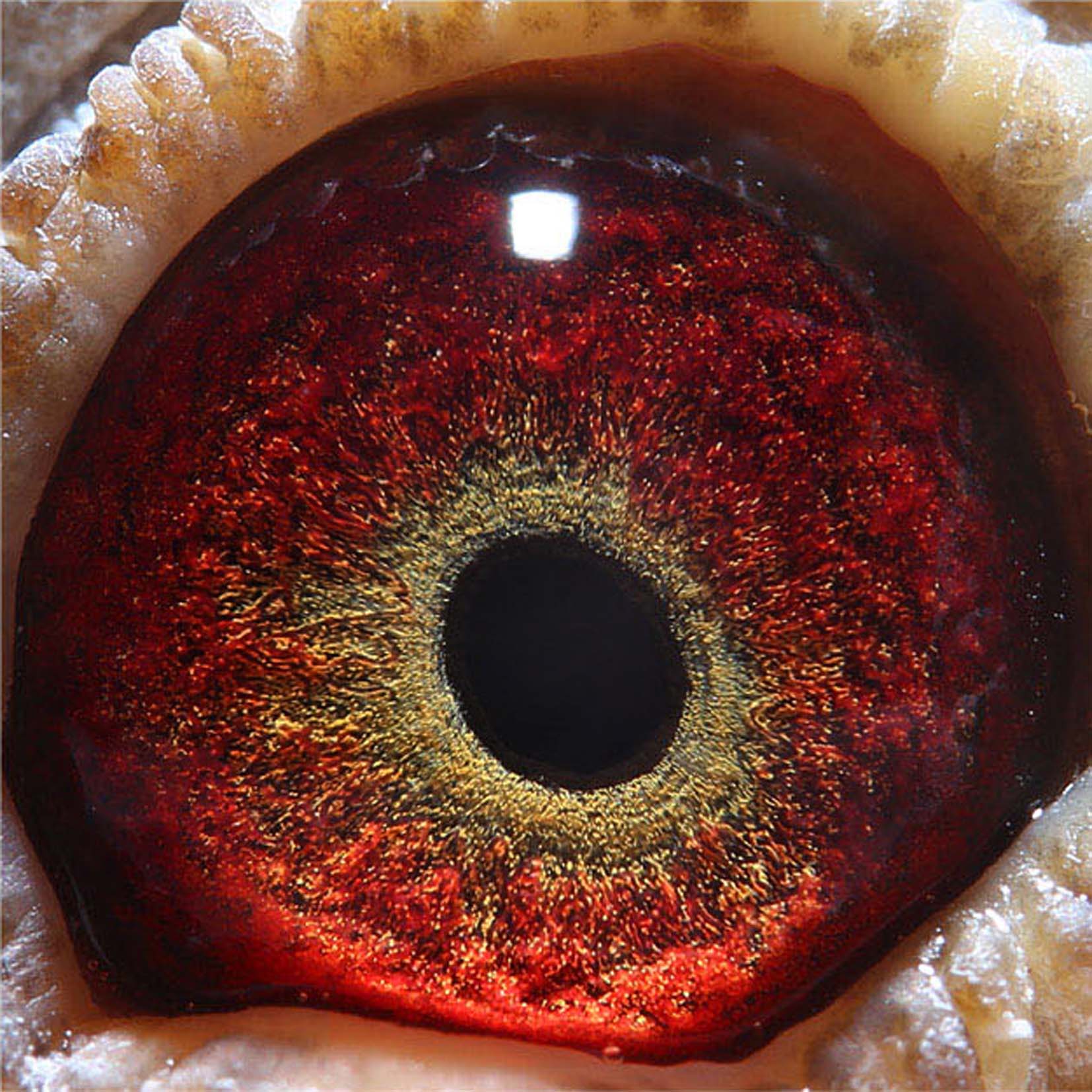 >> 查看拍卖商品