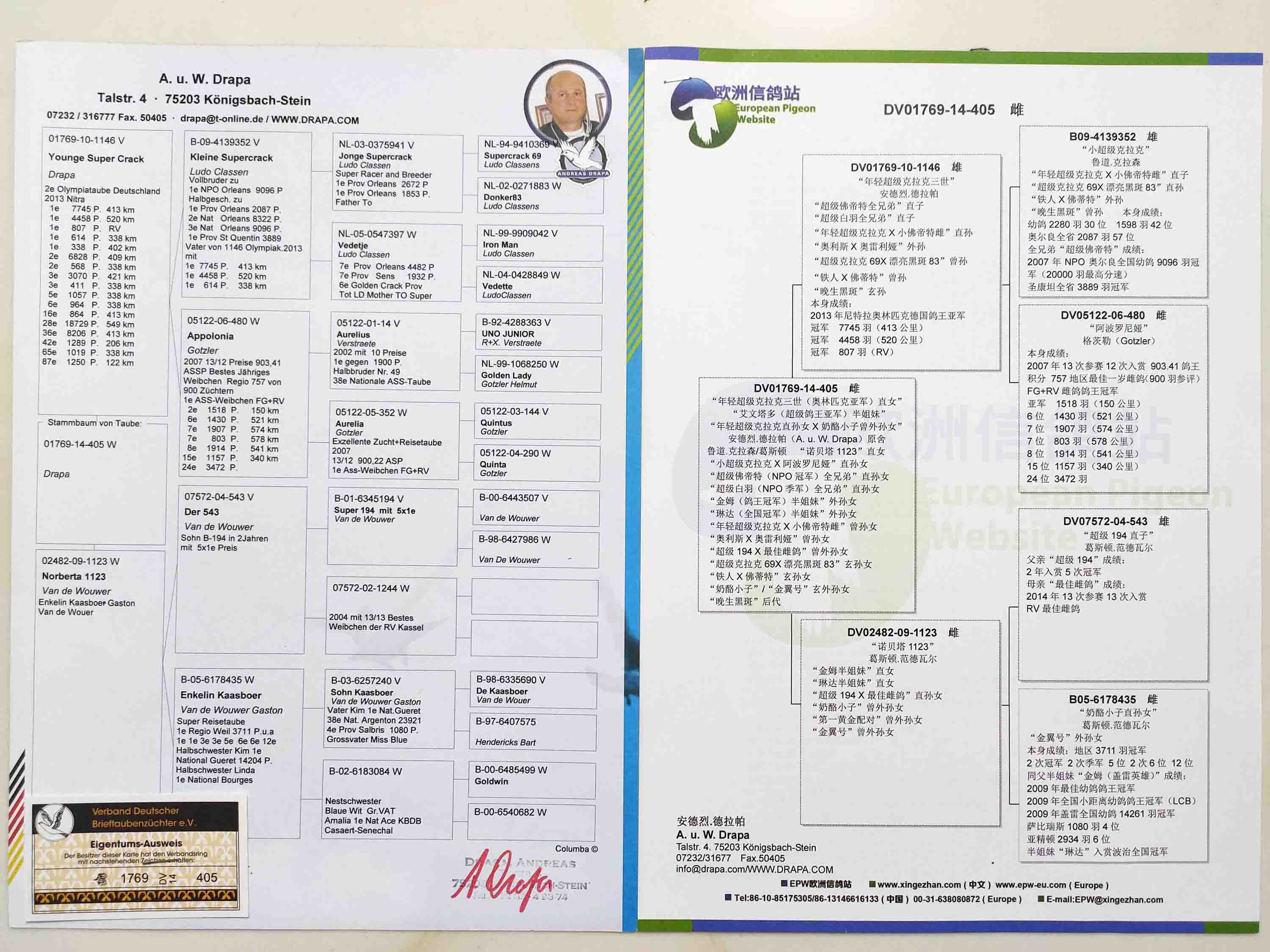 结拍时间: 2019-11-23 18:33:18 当前时间: 加价幅度: 200 元 血统书