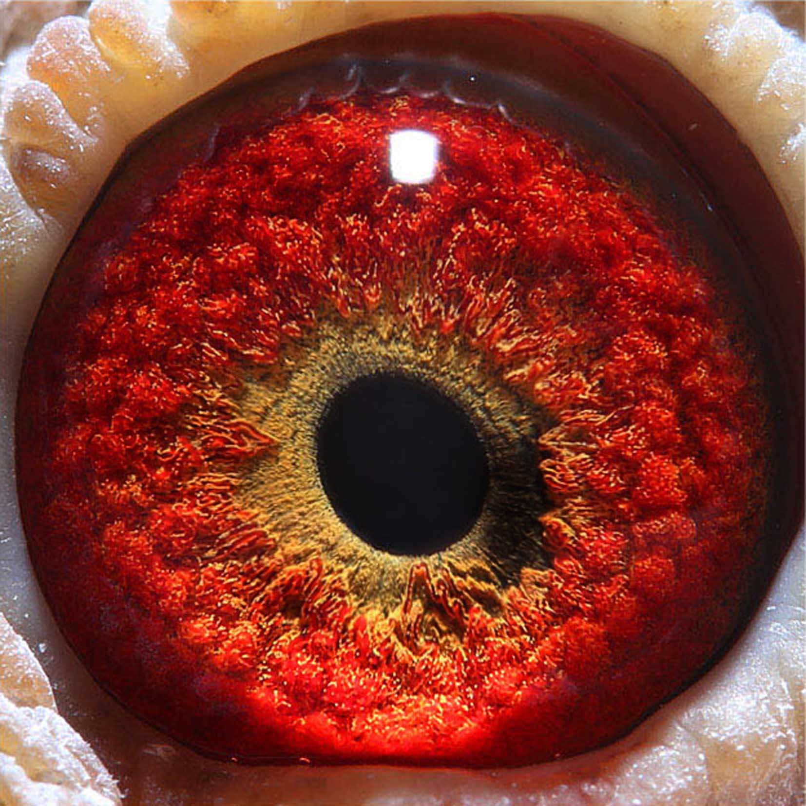 >> 查看拍卖商品