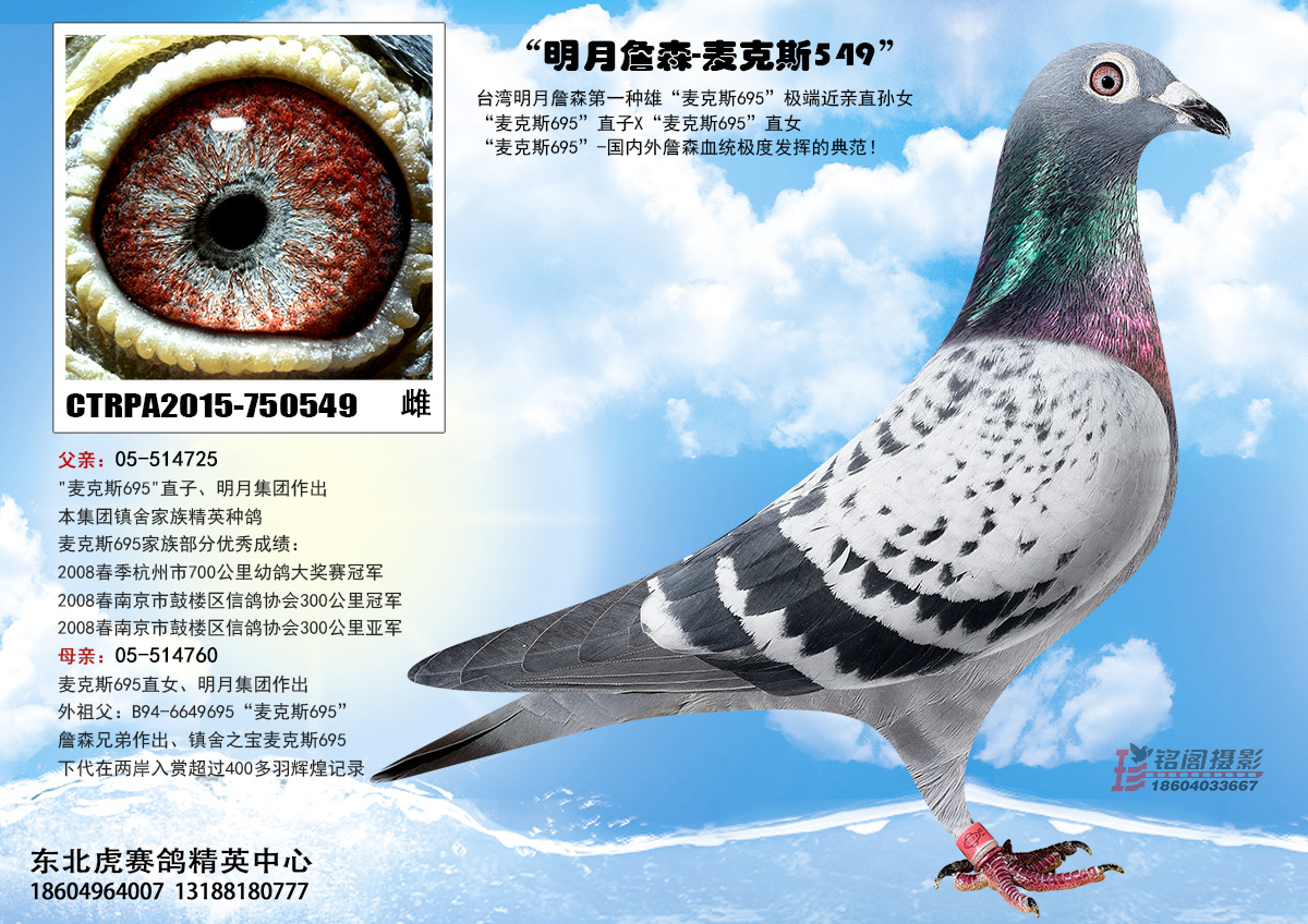 查看拍卖商品