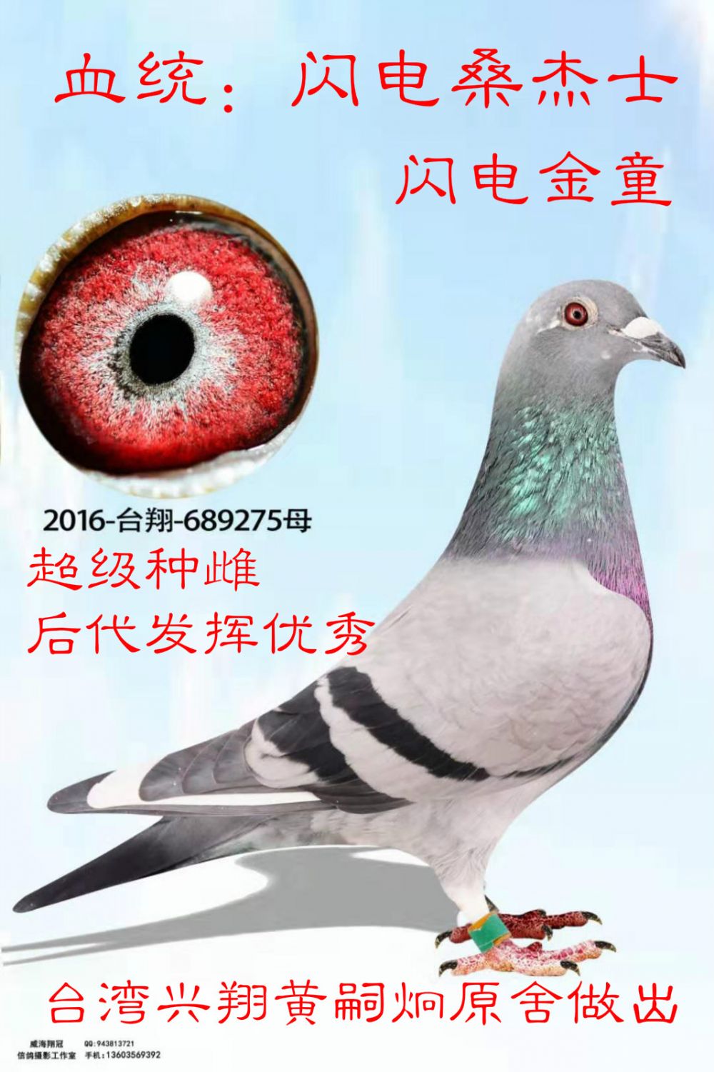 >> 查看拍卖商品