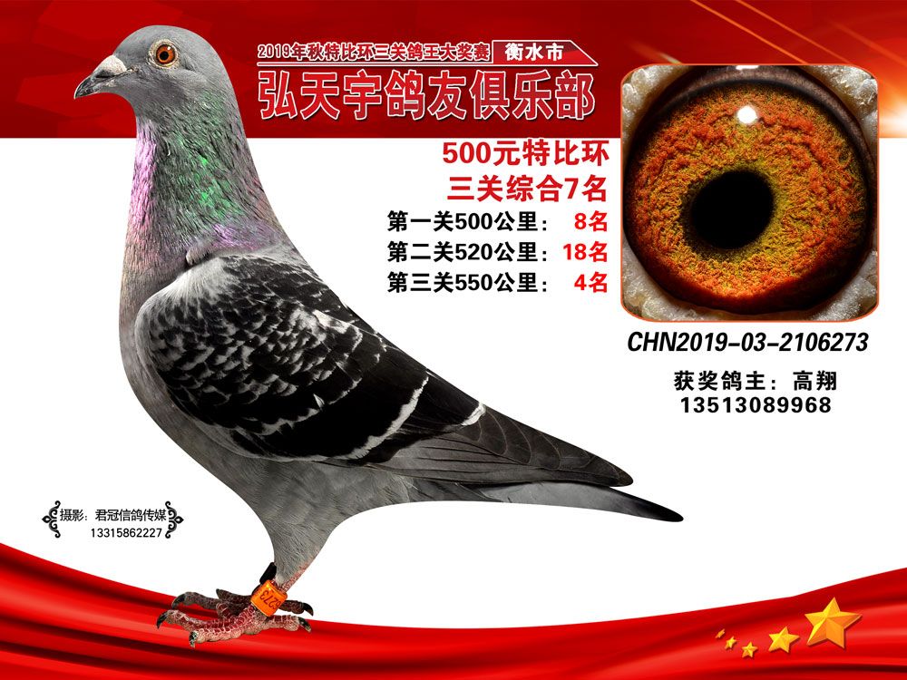 >> 查看拍卖商品