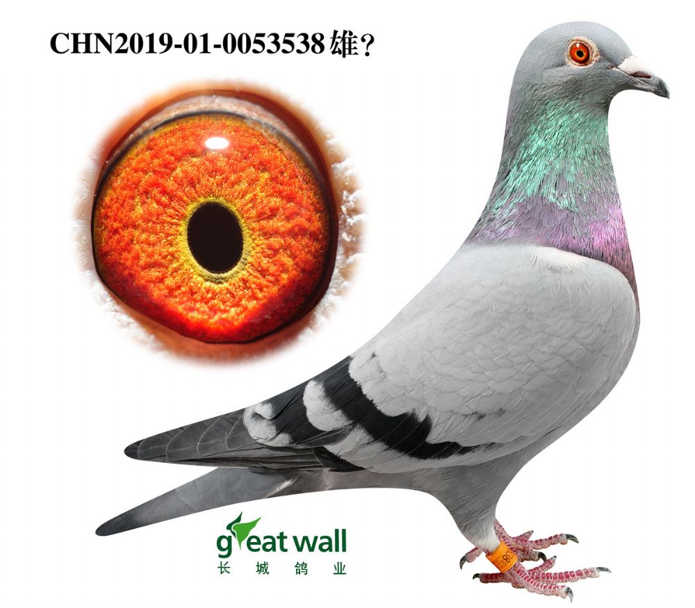 >> 查看拍卖商品