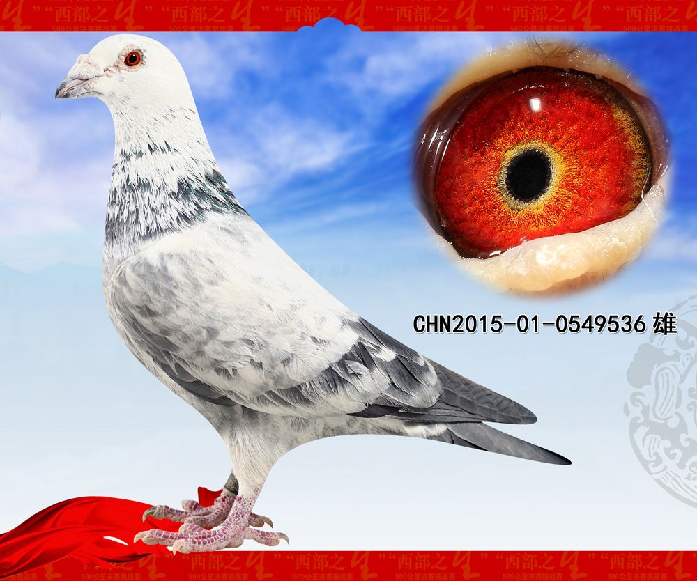 >> 查看拍卖商品