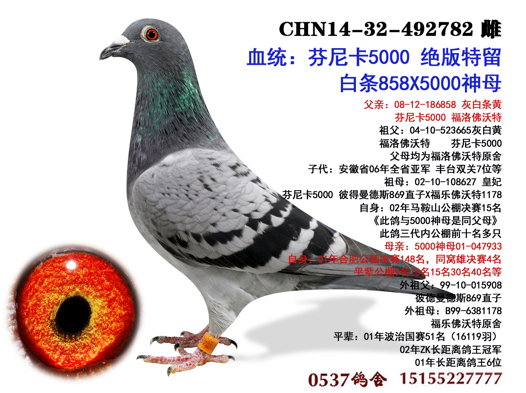 母亲 芬尼卡5000