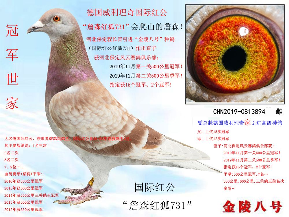>> 查看拍卖商品