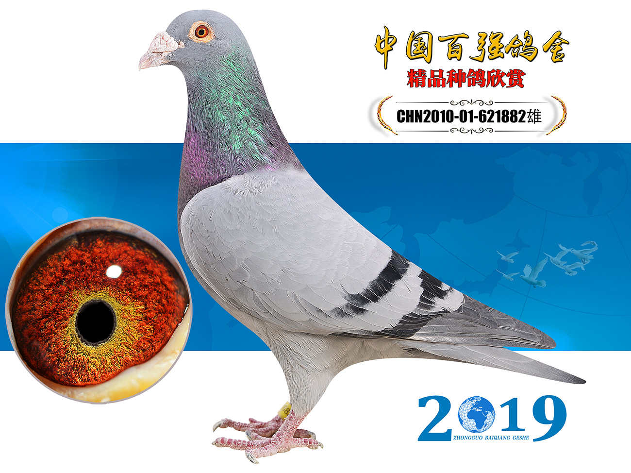 >> 查看拍卖商品