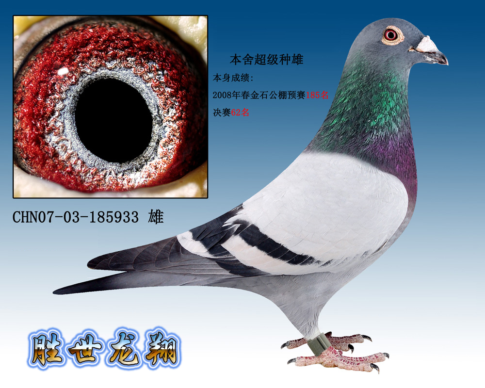 >> 查看拍卖商品