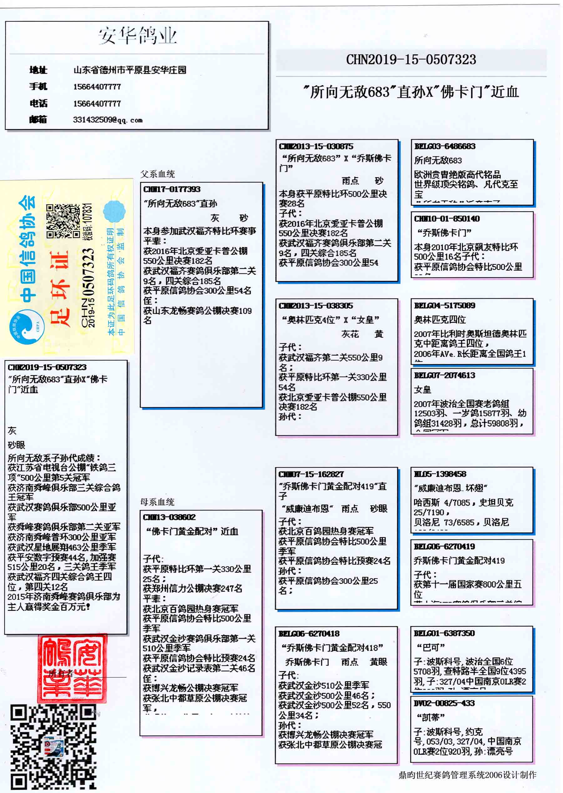 安华鸽业种鸽图片图片