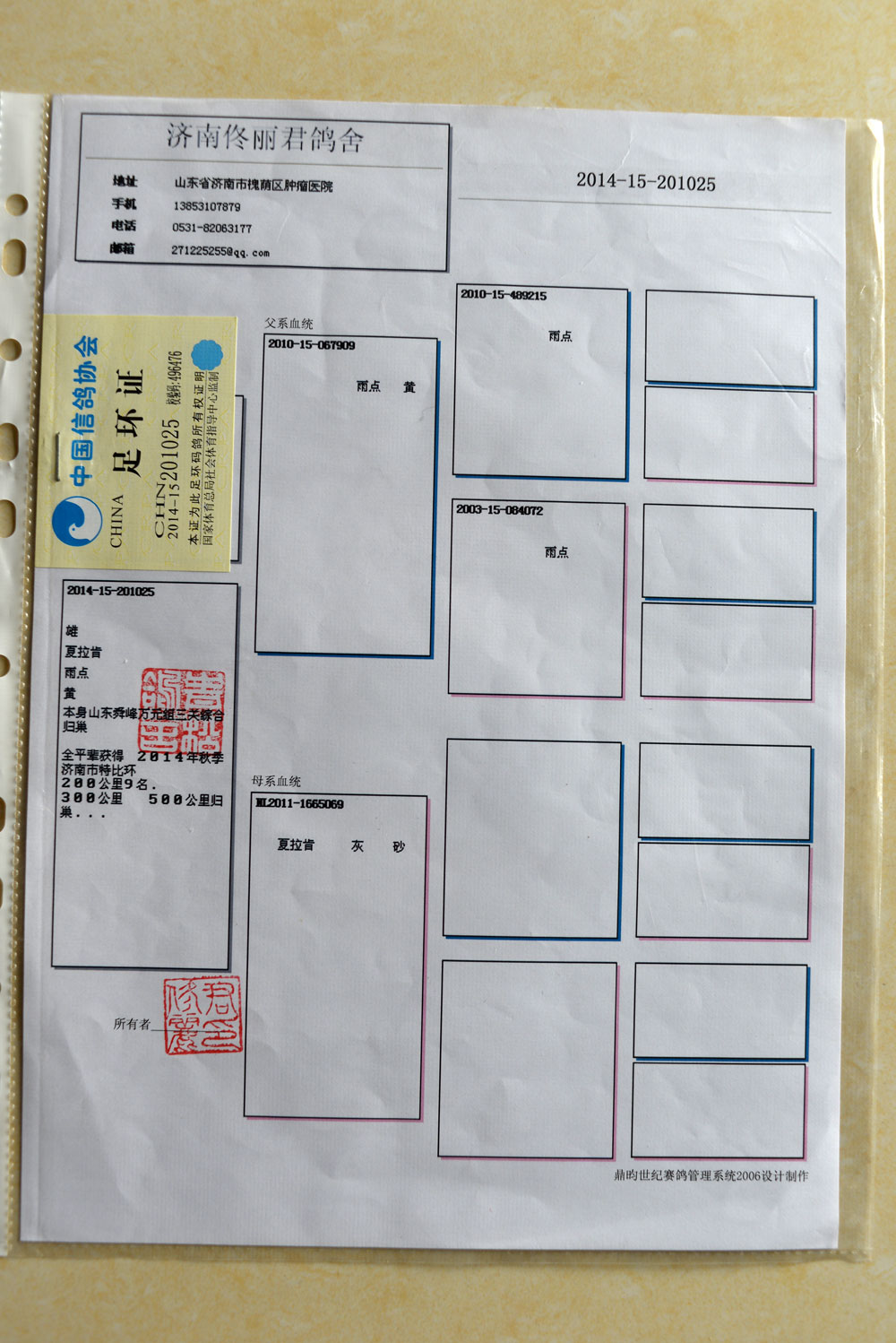 >> 查看拍卖商品
