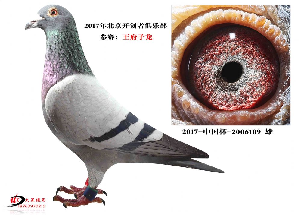 >> 查看拍卖商品