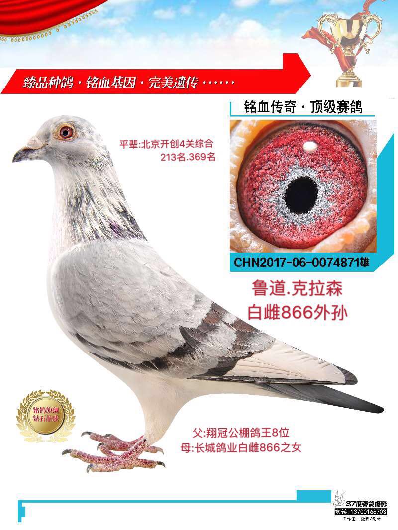 >> 查看拍卖商品