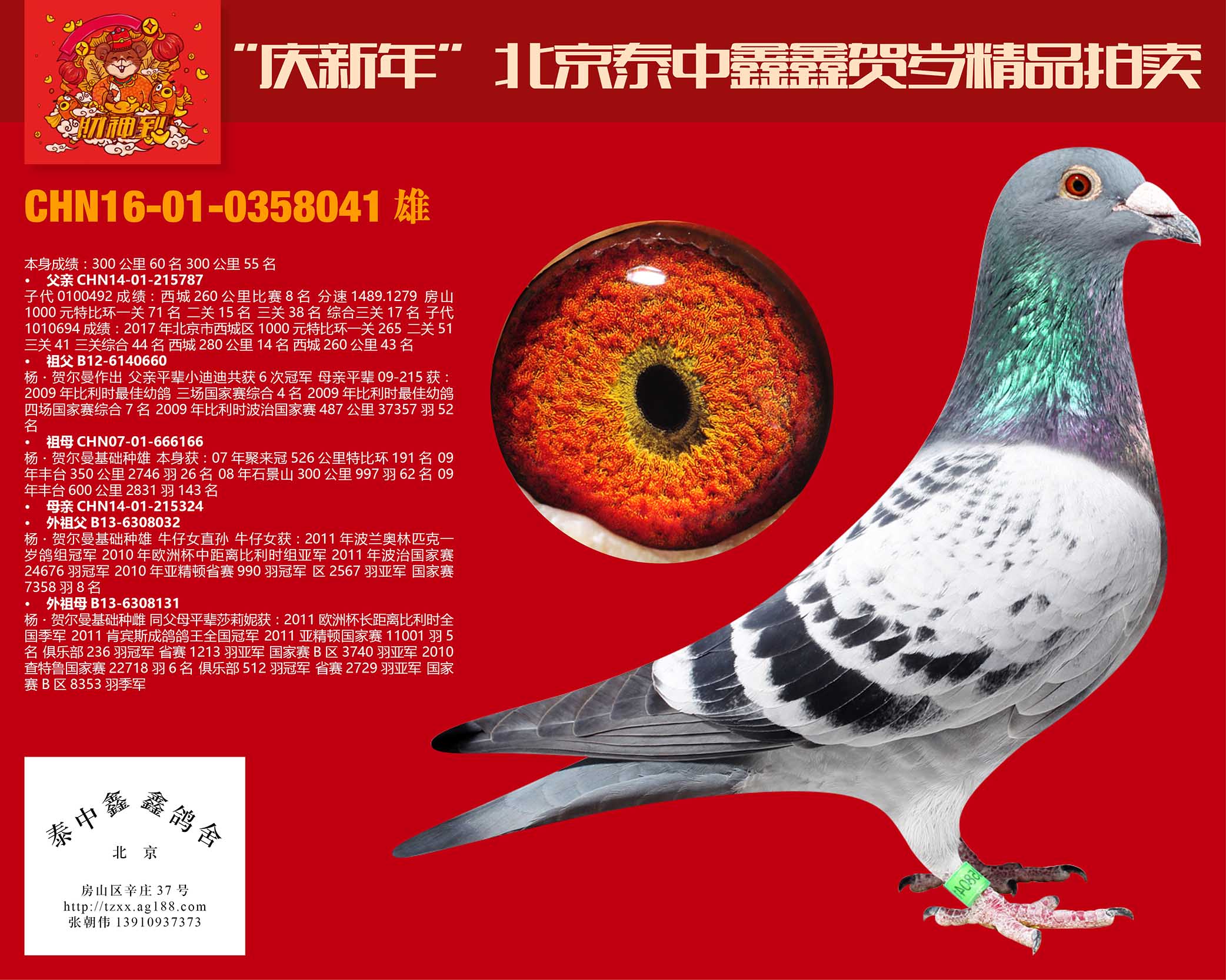 >> 查看拍卖商品