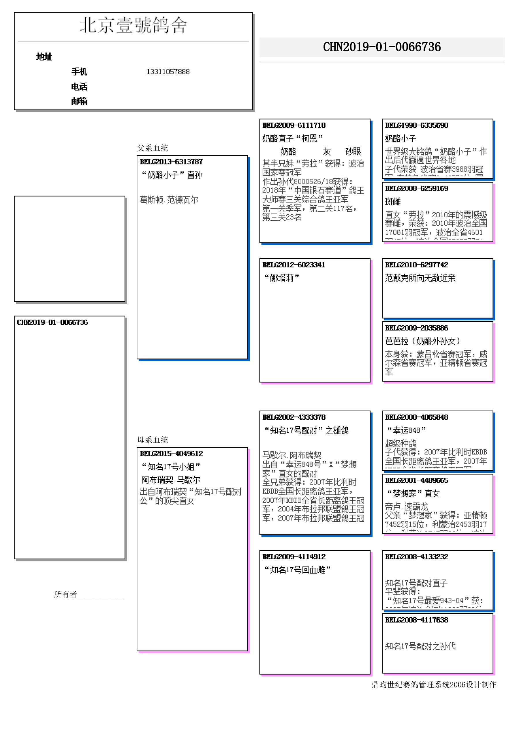 北京李国民鸽舍戈马力图片