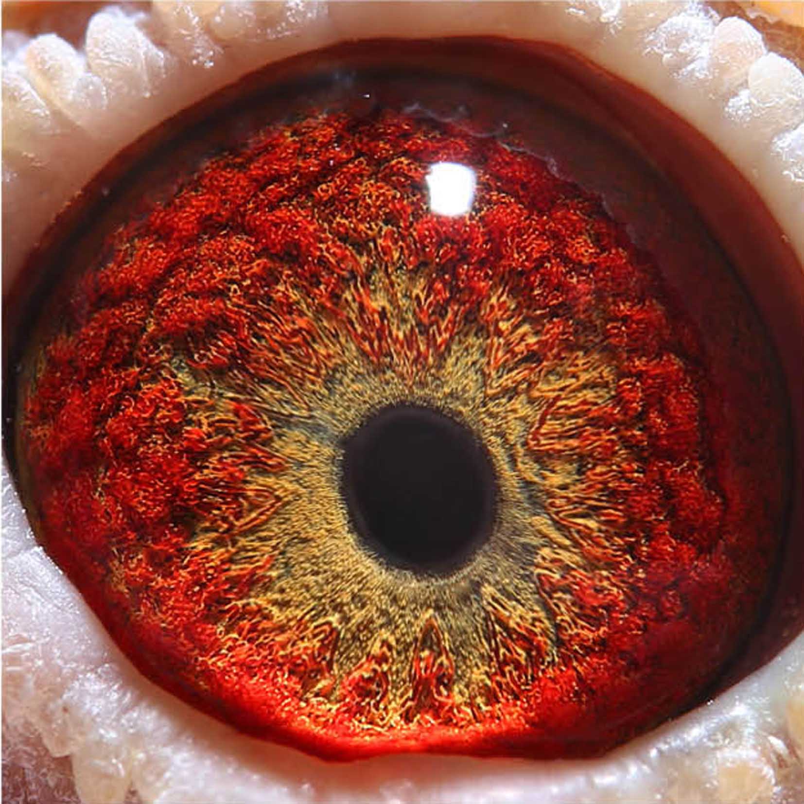 >> 查看拍卖商品